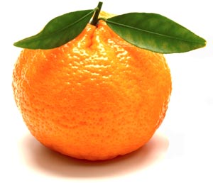 Risultato immagini per gif mandarini